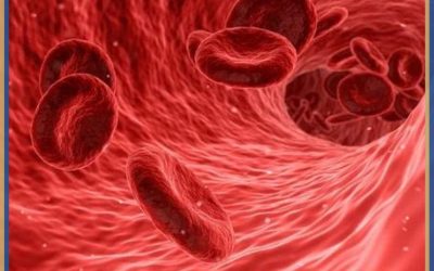 Sve što trebate znati o hematologiji